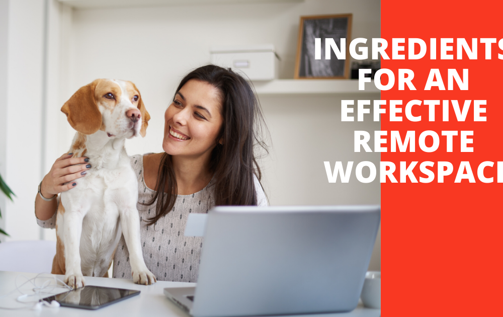 Ingredients For An Effective Workspace Blog Header Image. Woman sitting at desk with computer and dog.