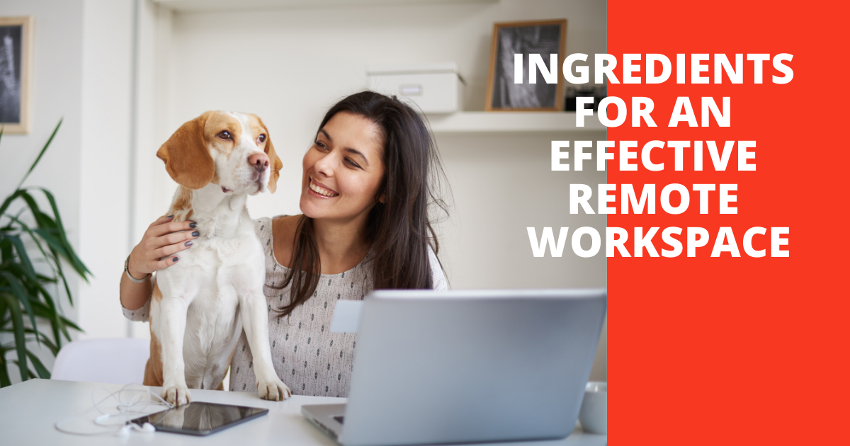 Ingredients For An Effective Workspace Blog Header Image. Woman sitting at desk with computer and dog.