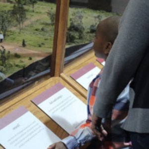 Charlotte Museum of History is seeking a corporate volunteer team to help assess their needs and create a plan to address infrastructure and technology pain points.