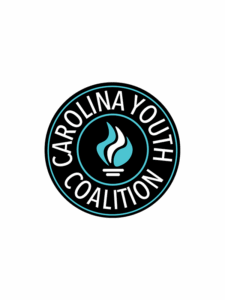 Carolina Youth Coalition Business Processes Assessment